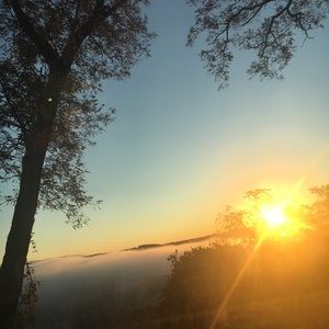 Meet your Posher, Maeve